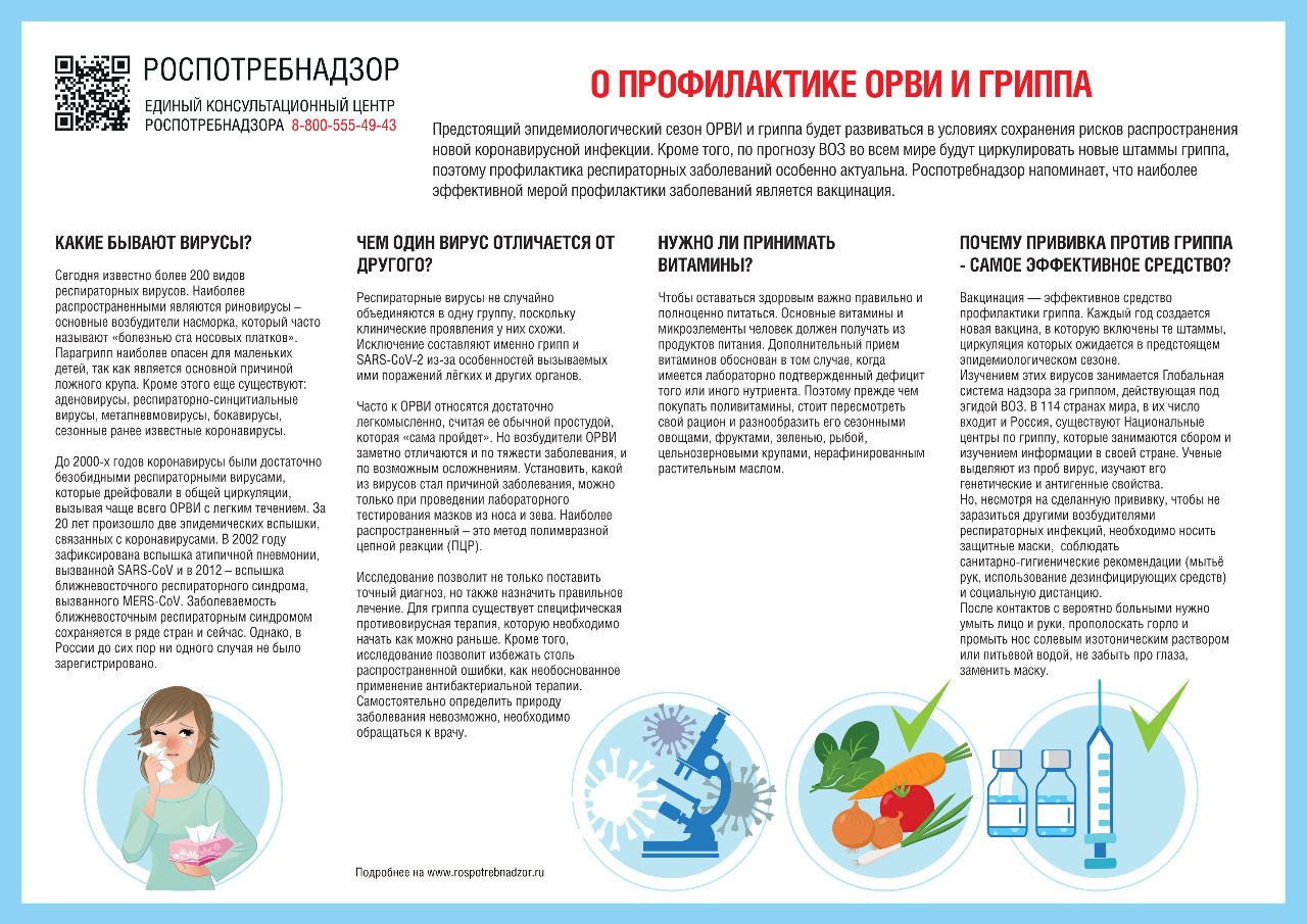 Муниципальное бюджетное общеобразовательное учреждение «Гимназия № 10 имени  Ф.М. Достоевского» - Профилактика коронавирусной инфекции и других ОРВИ